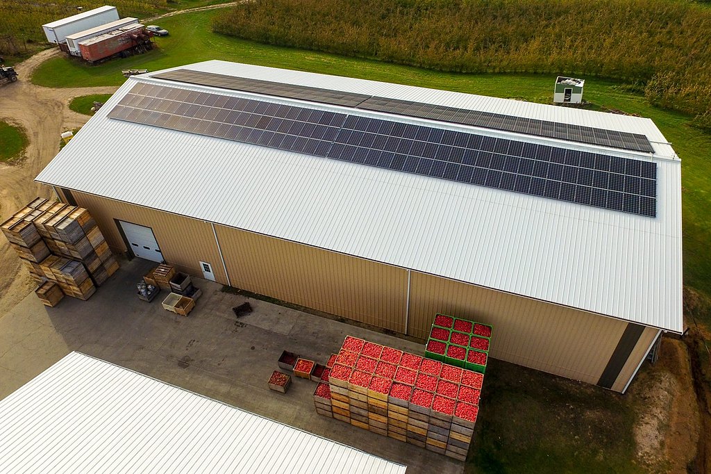 Rooftop solar on an orchard packing and cold-storage facility